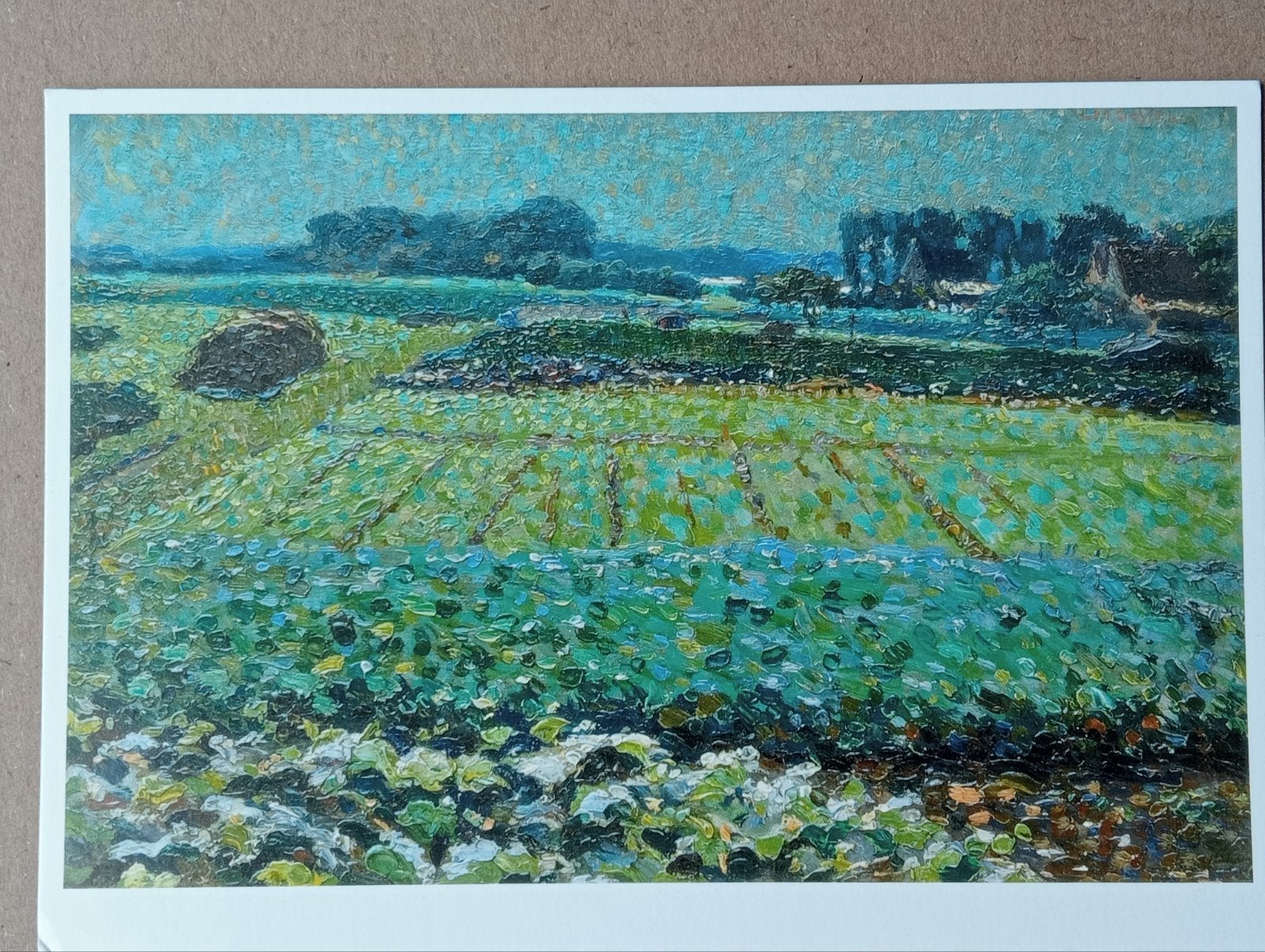 Ansichtkaart Leo Gestel: 'Koolveldje', Olieverf, 1908, Ophalen of Verzenden, 1980 tot heden, Ongelopen