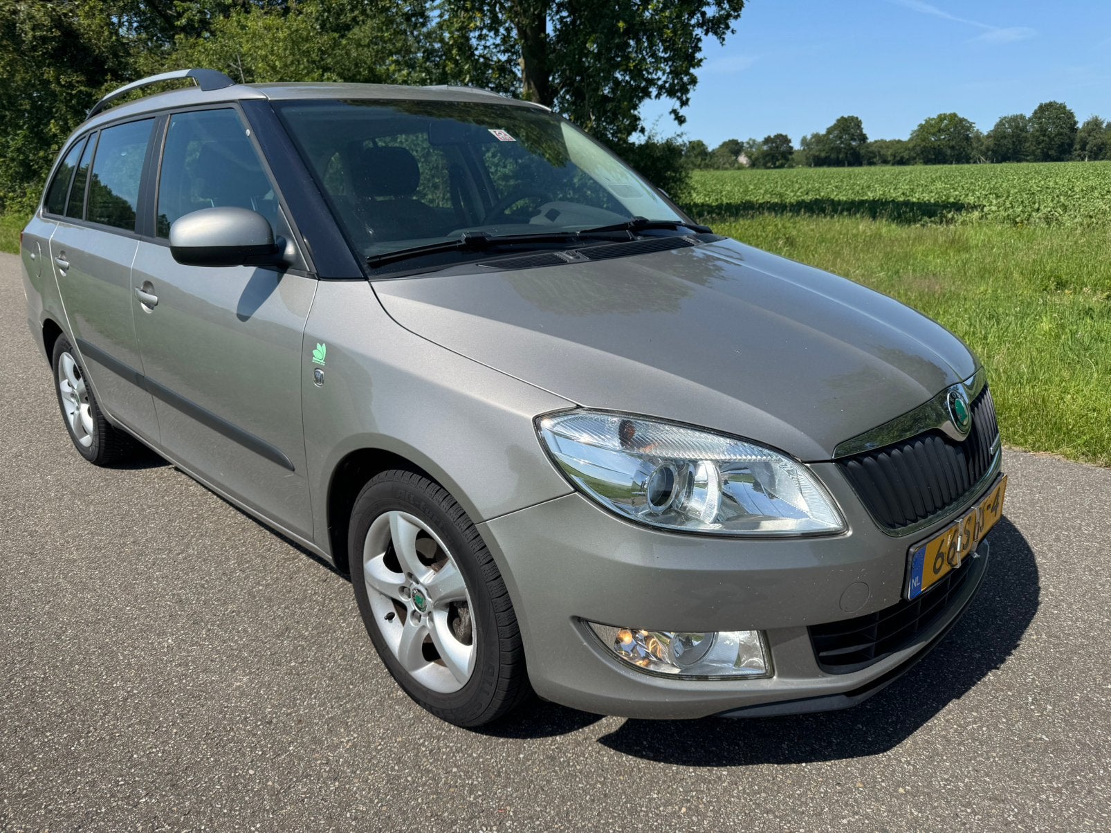 Skoda Fabia 1.2 TDI 55KW Greenline Combi 2011 Beige, Auto's, Skoda, Voorwielaandrijving, Euro 5, Zwart, 1199 cc