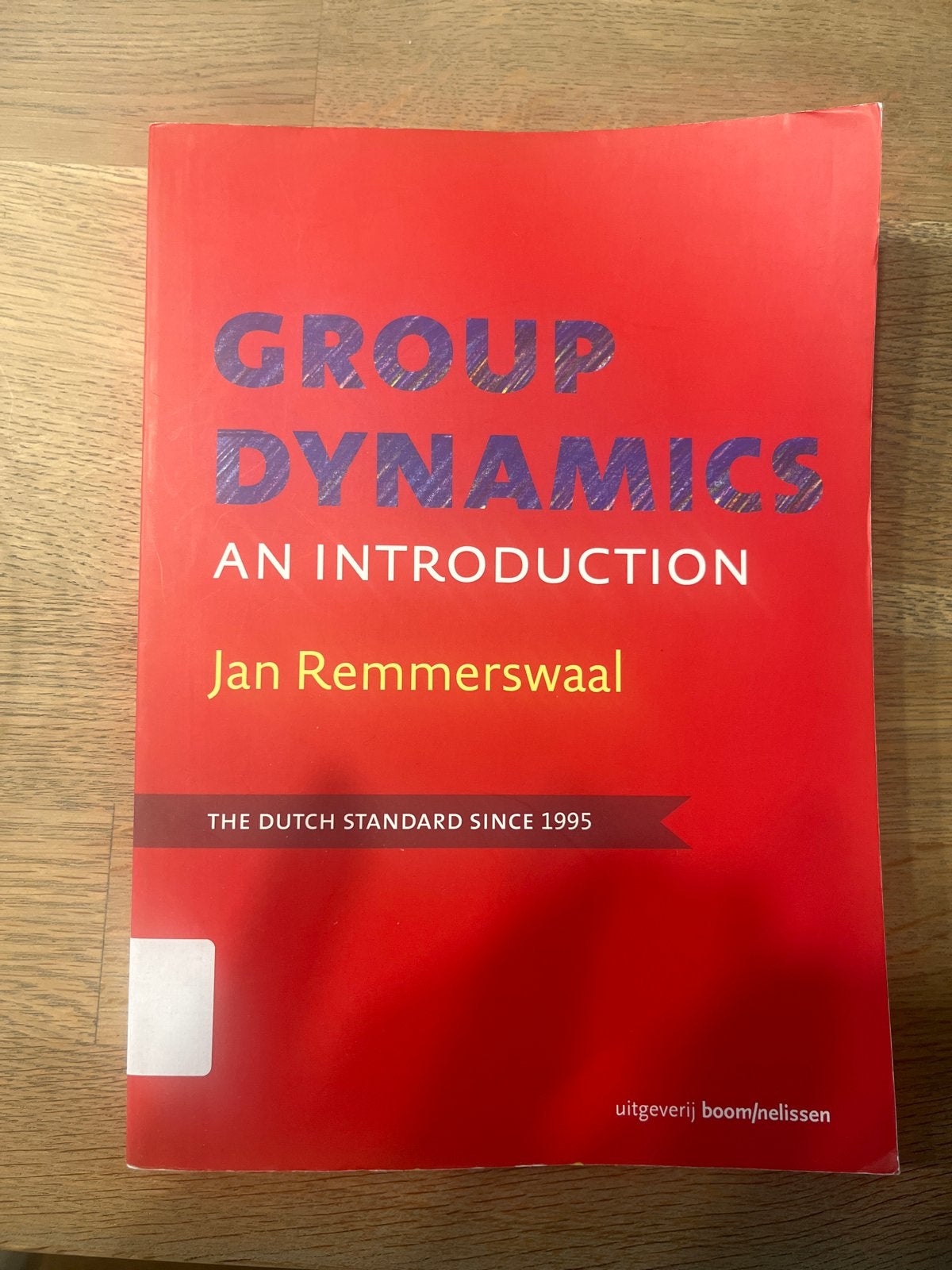 Group Dynamics: An Introduction - Jan Remmerswaal, Boeken, Studieboeken en Cursussen, Ophalen of Verzenden, Gamma, Gelezen, WO