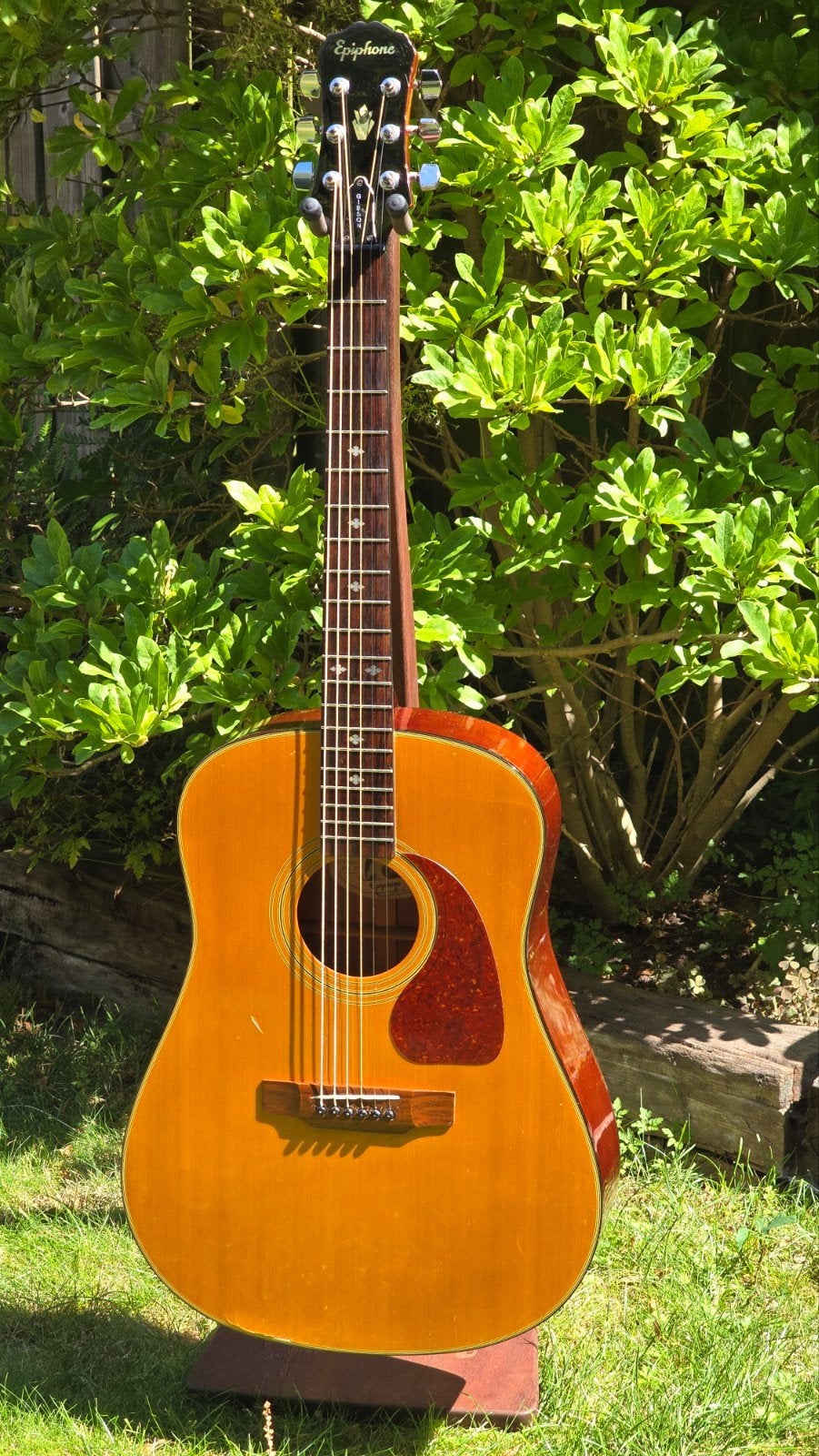 Epiphone PR-350 (Korea 1993), Muziek en Instrumenten, Ophalen of Verzenden, Gebruikt, Western- of Steelstringgitaar