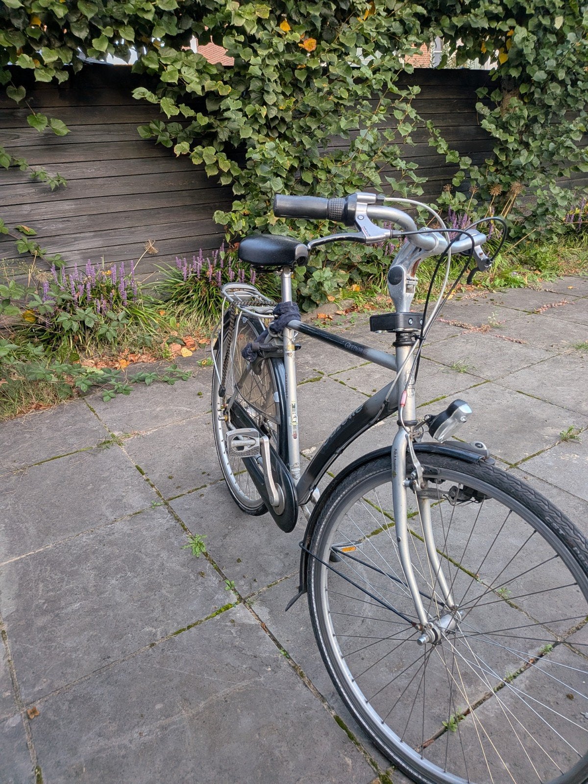 Gazelle fiets met 7 versnellingen en kettingslot, Ophalen, Velgrem, Versnellingen, Gazelle
