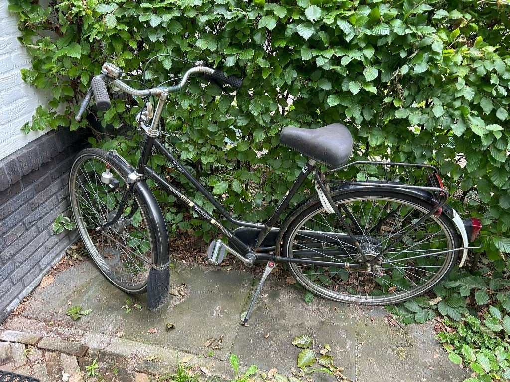 Gazelle damesfiets - opknapper met 2 lekke banden, Ophalen, Terugtraprem, Versnellingen, Gazelle