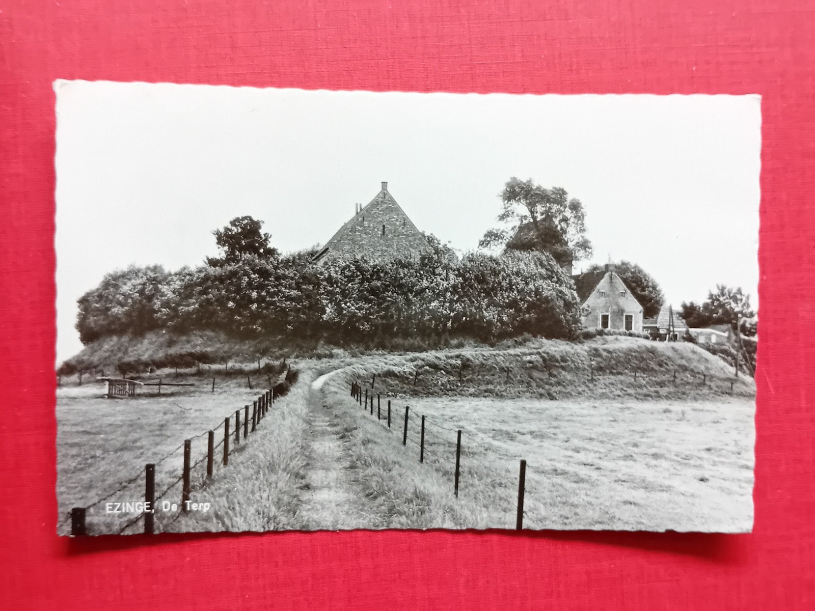 Oude Ansichtkaart Ezinge, De Terp - Gelopen, Verzamelen, Ansichtkaarten | Nederland, Ophalen of Verzenden, 1960 tot 1980, Gelopen
