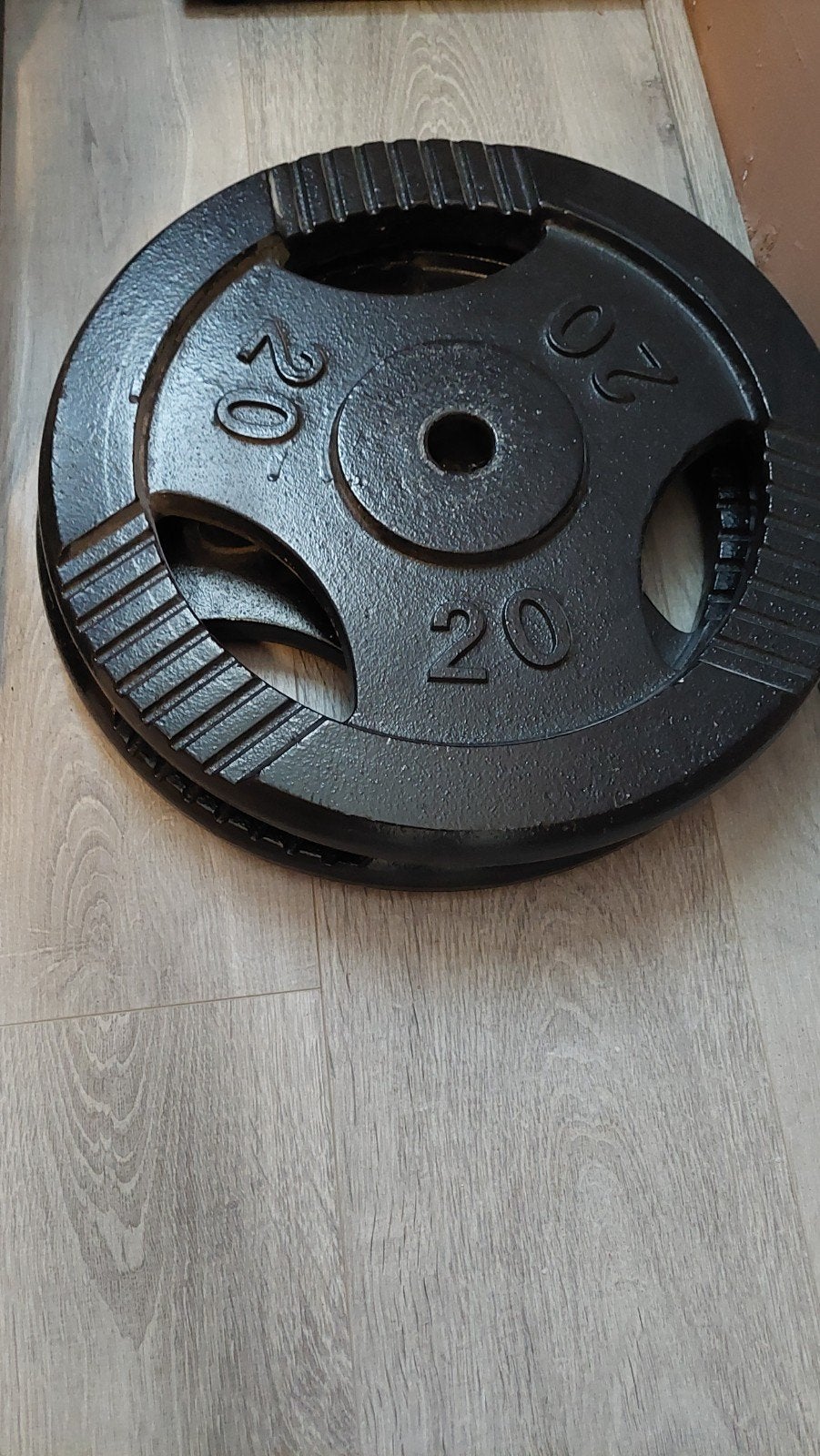 2x 20kg gripper gietijzeren schijven 30mm, Sport en Fitness, Ophalen, Zo goed als nieuw, Benen, Halterschijven