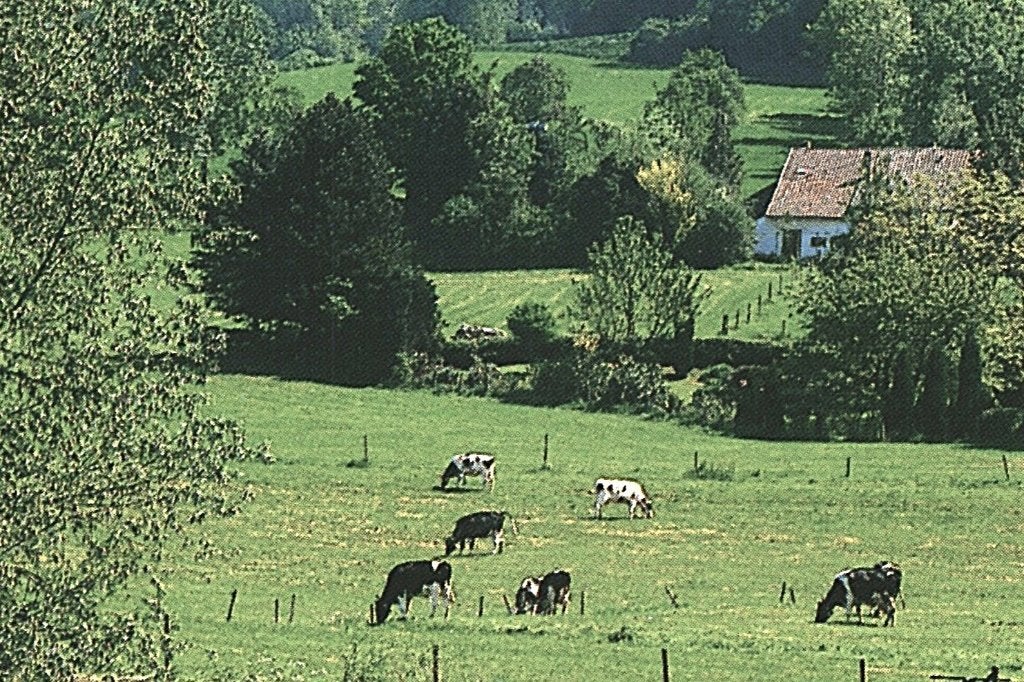 988414 mogelijk Epen 80+ Limburg postzegel Vincent van Gogh, Ophalen of Verzenden, 1980 tot heden, Gelopen, Limburg
