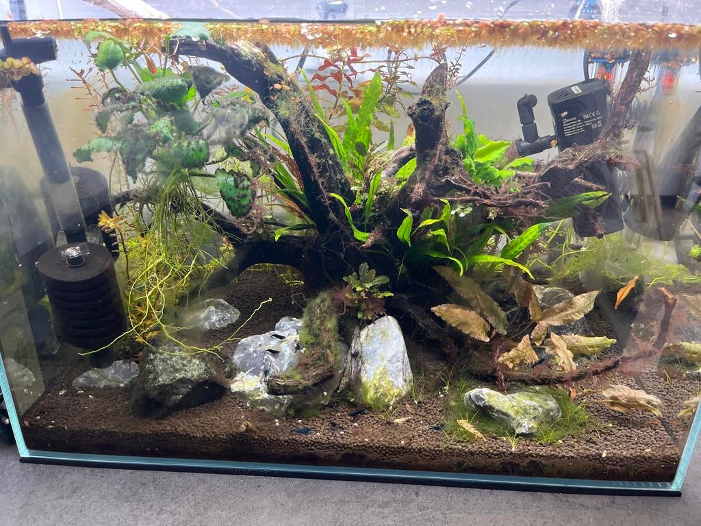 Superfish scaper 60, Dieren en Toebehoren, Ophalen of Verzenden, Leeg aquarium