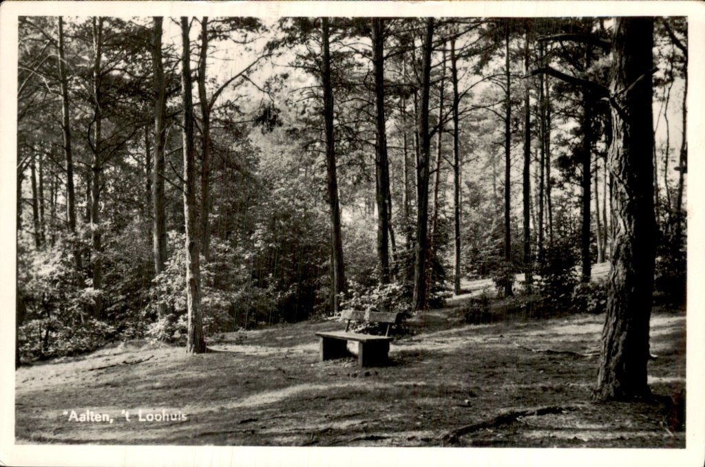 Aalten - t Loohuis - Bank, Ophalen of Verzenden, 1940 tot 1960, Gelopen, Gelderland