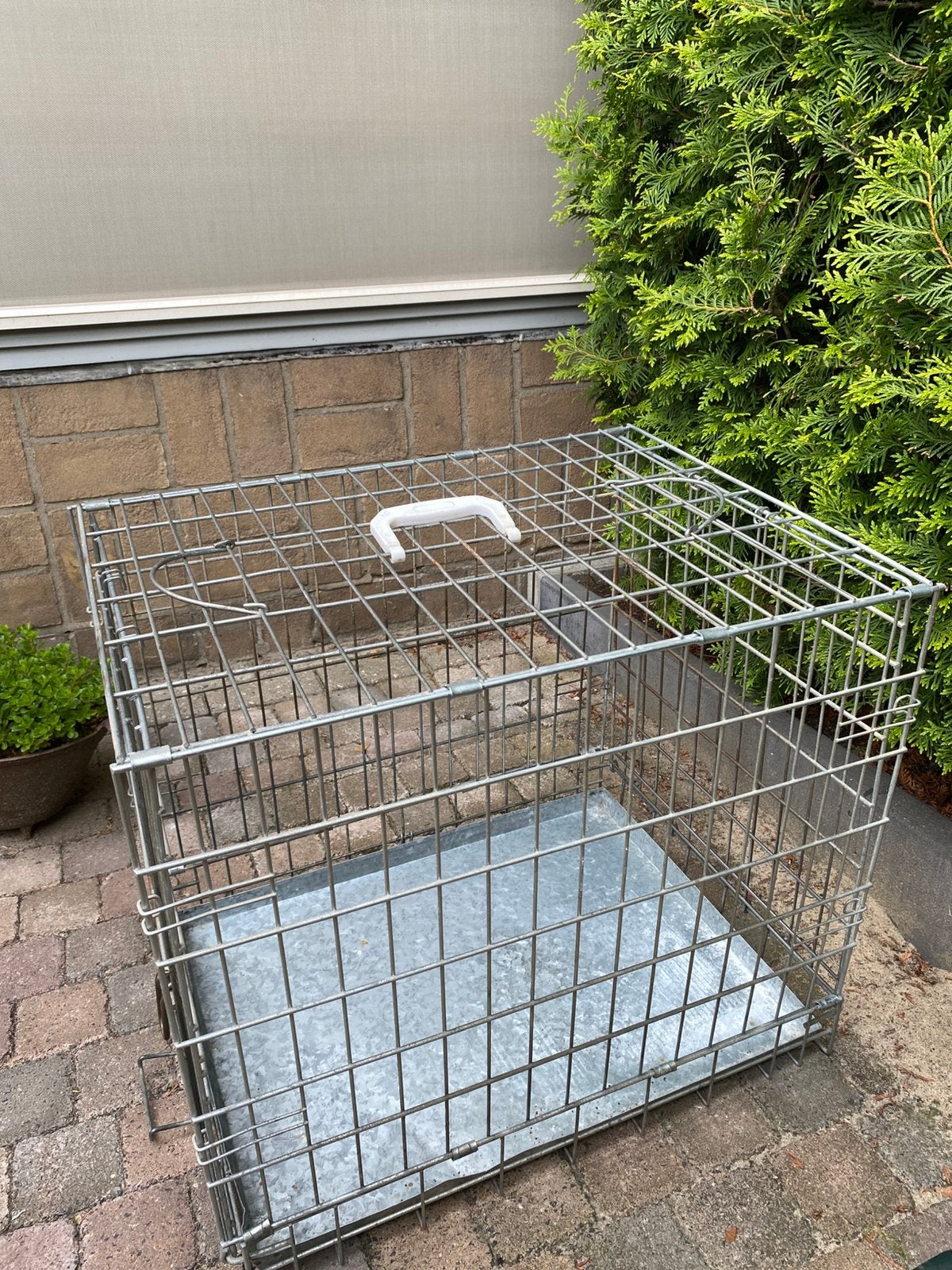 Bench voor hond of kat, Ophalen, Gebruikt