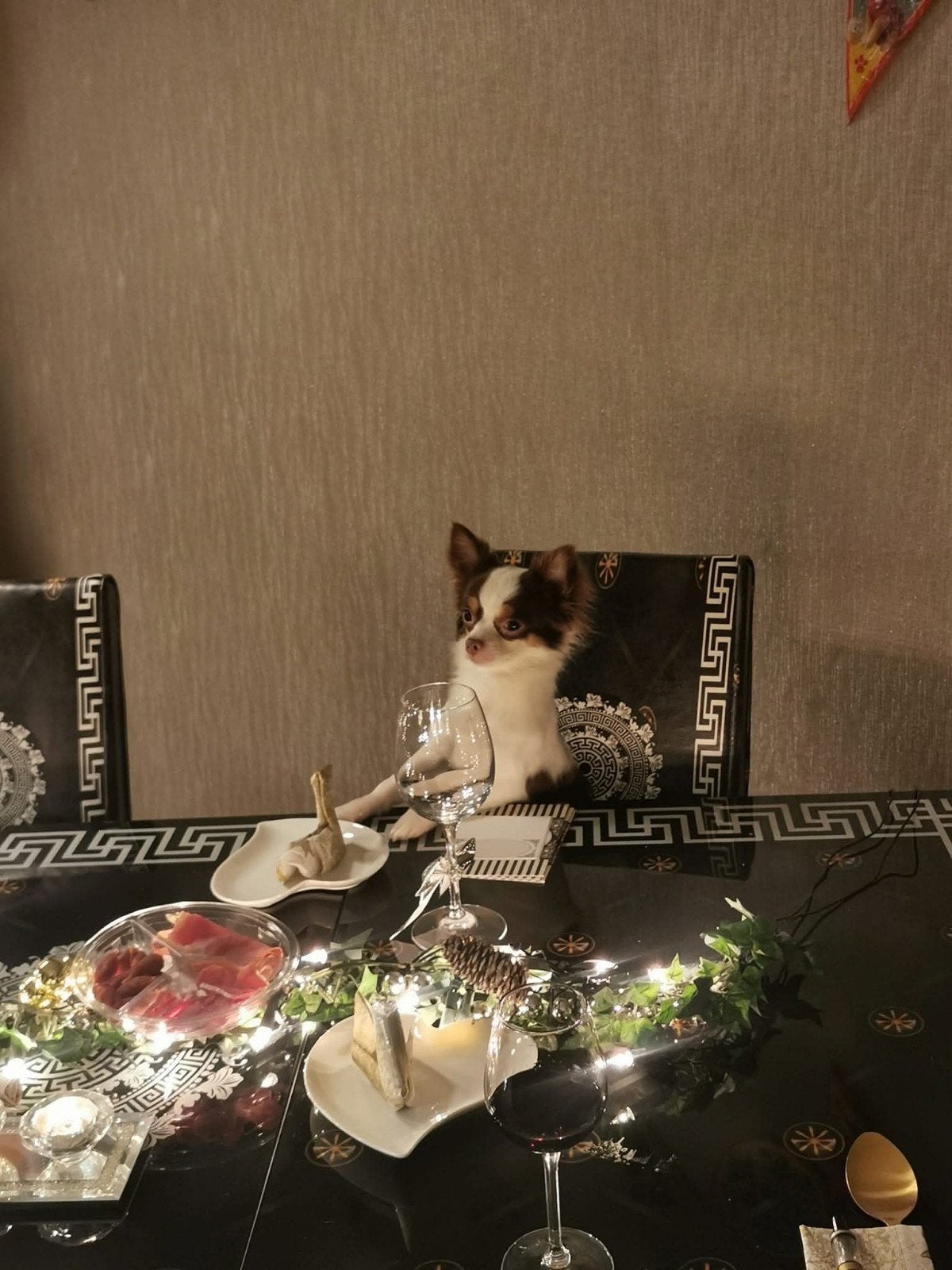Dek reu ( Niet te koop ), Dieren en Toebehoren, Ophalen of Verzenden