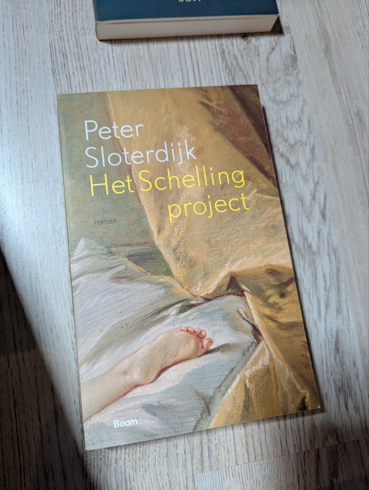 Peter Sloterdijk - Het Schelling project, Ophalen of Verzenden, Peter Sloterdijk