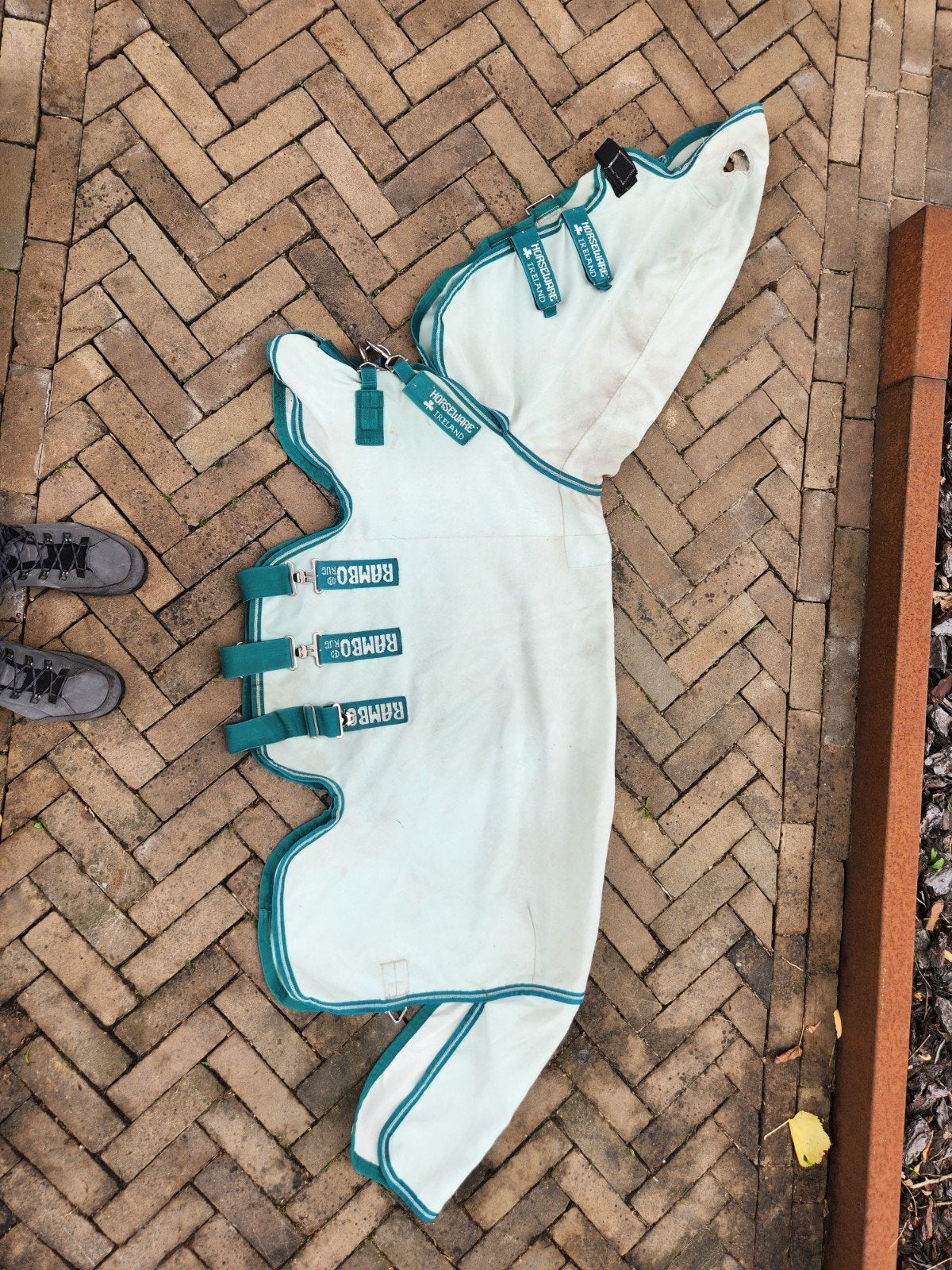 Dekens shet/mini, Dieren en Toebehoren, Ophalen of Verzenden, Gebruikt, Deken