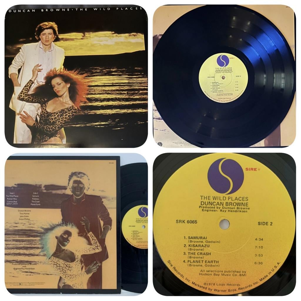 Duncan Browne - The Wild Places 1978 /USA persing SIRE VG+, Cd's en Dvd's, Ophalen of Verzenden, Gebruikt, 12 inch, Poprock