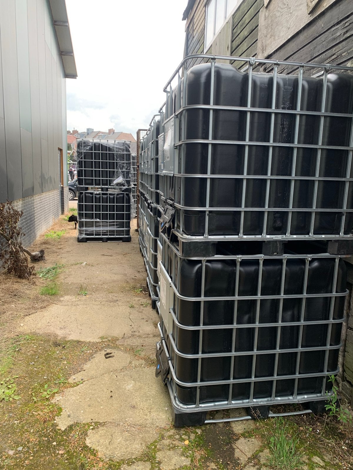 IBC container 1000L - Zo goed als nieuw, moet gespoeld, Tuin en Terras, Regentonnen, 150 liter of meer, Ophalen, Zo goed als nieuw