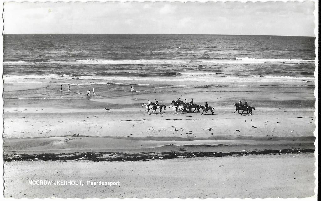 Noordwijkerhout, Paardensport, paarden, ruiters, strand, zee, Verzenden, 1960 tot 1980, Gelopen, Zuid-Holland
