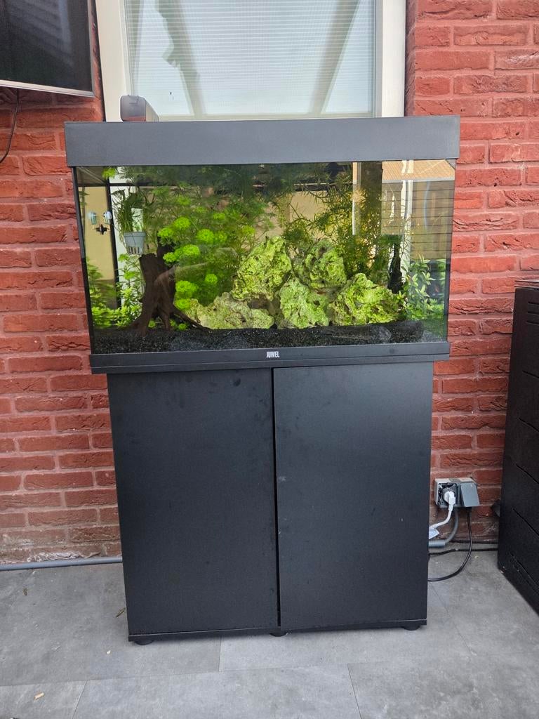 Juwel Rio 125 zeer compleet., Ophalen, Zo goed als nieuw, Gevuld zoetwateraquarium