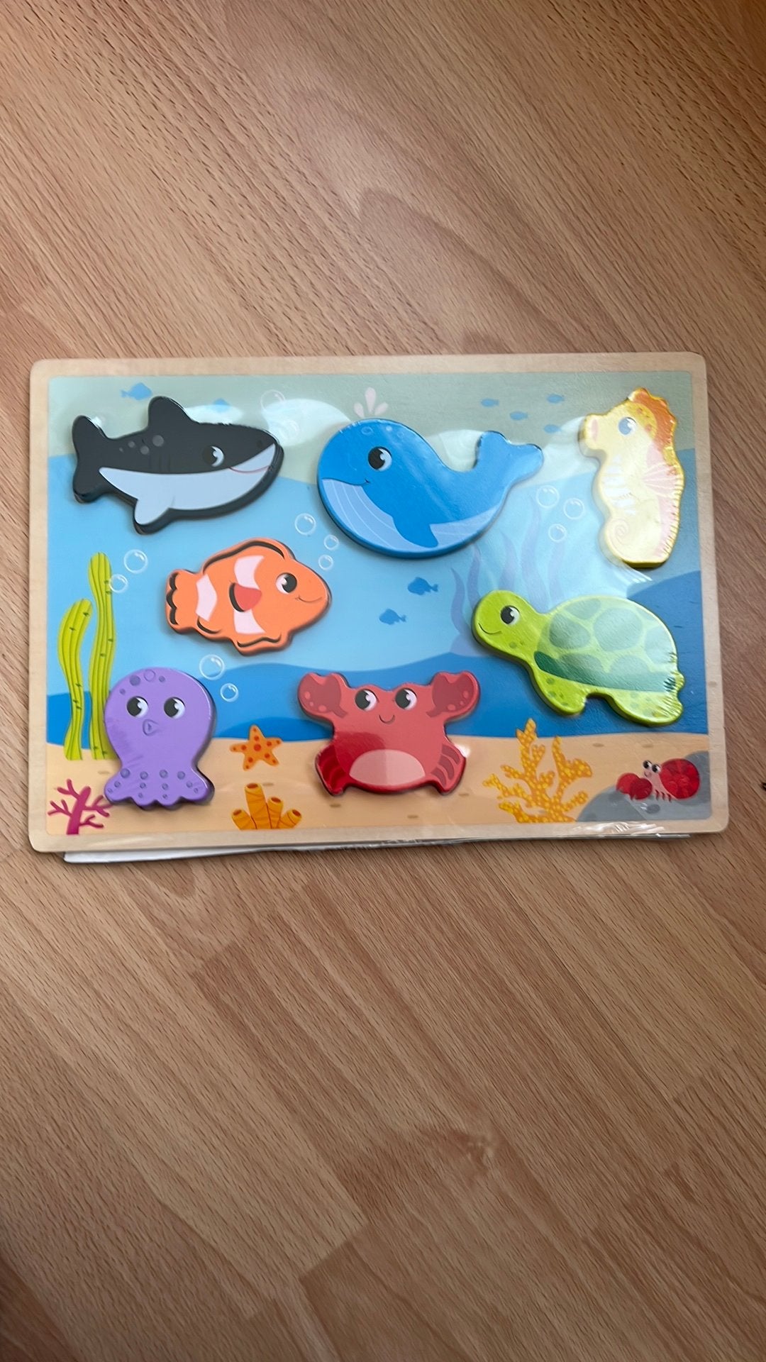 Insteekpuzzel Nieuw in plastic verpakking, Ophalen of Verzenden, Nieuw