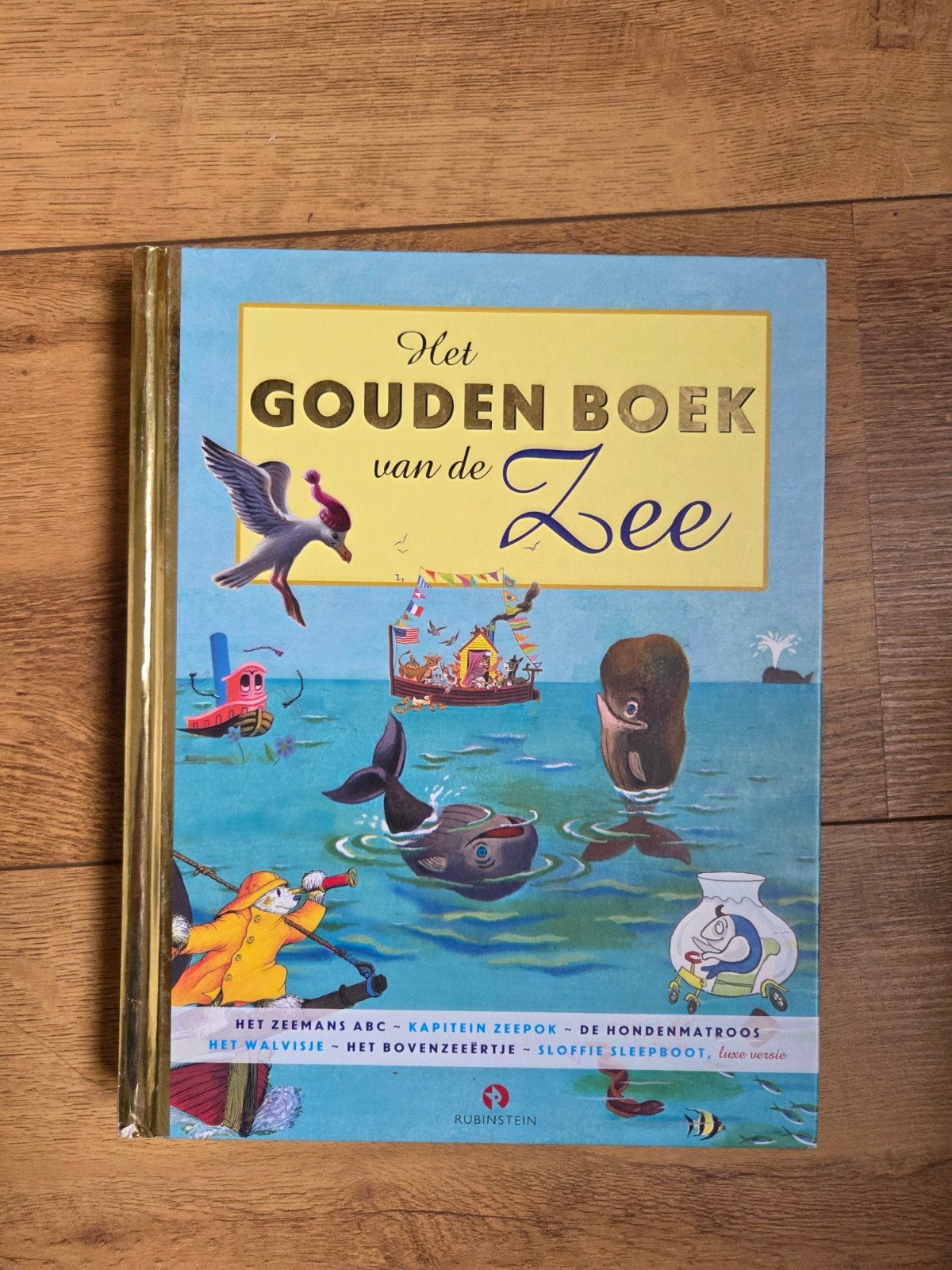 Het Gouden Boek van de Zee - Luxe editie, Boeken, Ophalen of Verzenden, Zo goed als nieuw, Rubinstein, 2 tot 3 jaar