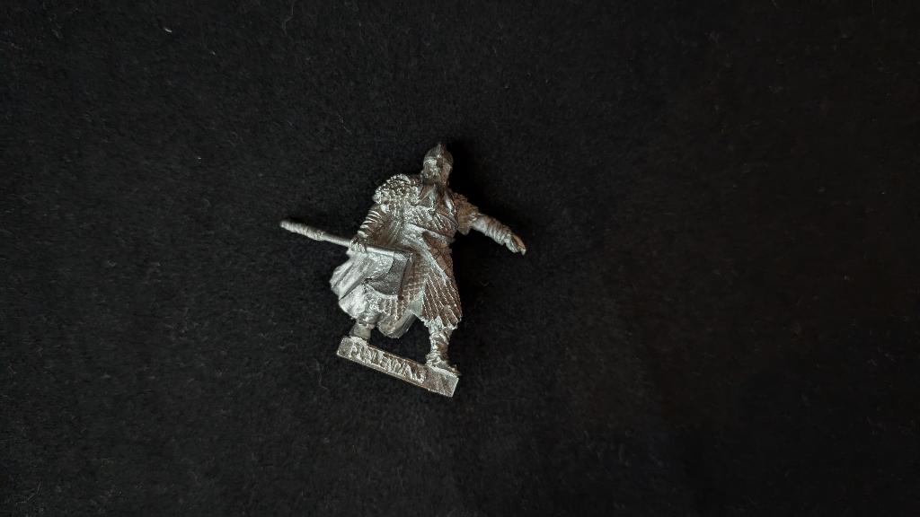 Dunlending Chieftain/Captain, Ophalen of Verzenden