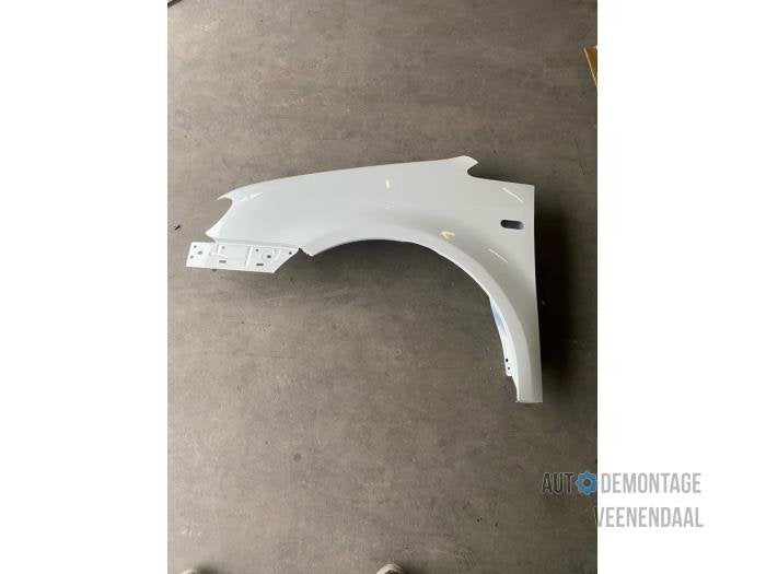 Scherm links-voor van een Volkswagen Caddy (R902), -, Volkswagen, -, Nieuw