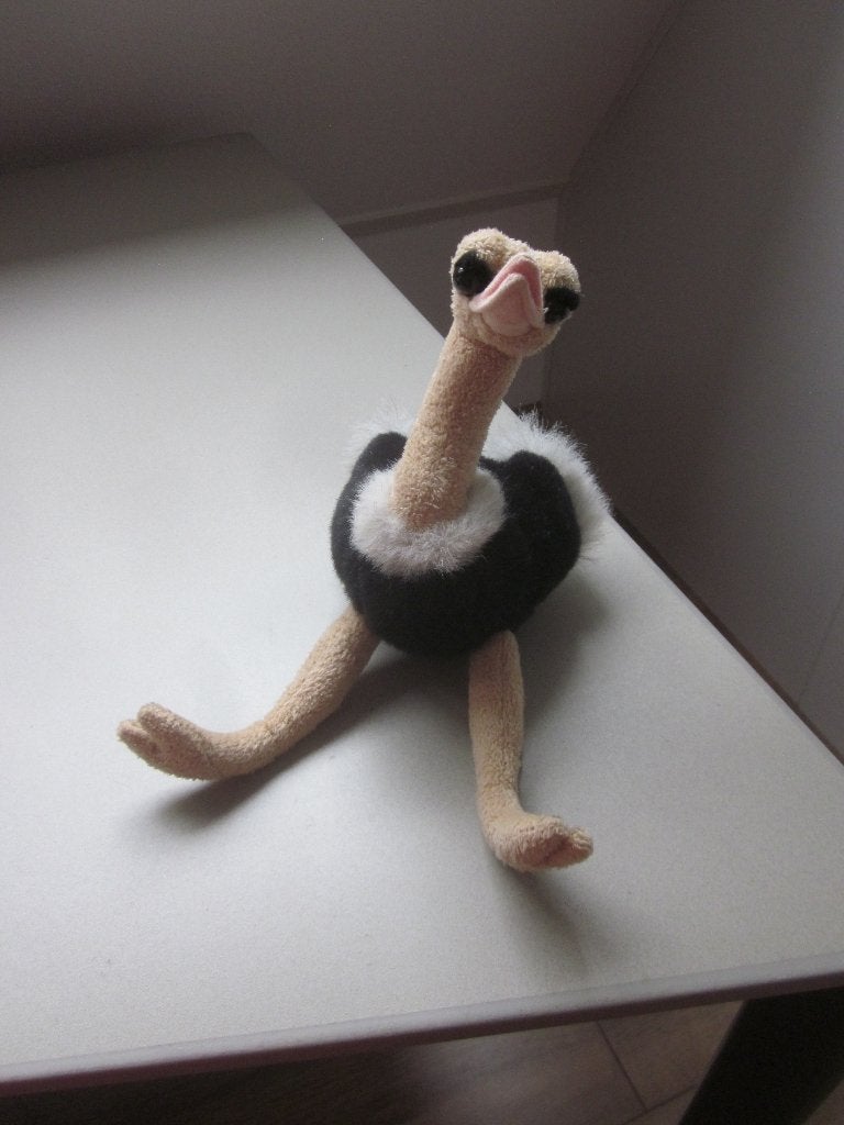 Born in Afrika prachtige superzachte struisvogel knuffel, Overige merken, Overige karakters, Overige typen, Ophalen of Verzenden