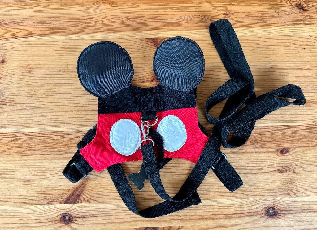 Mickey Mouse peuterlooptuigje met looplijn – Disney, Ophalen of Verzenden, Zo goed als nieuw