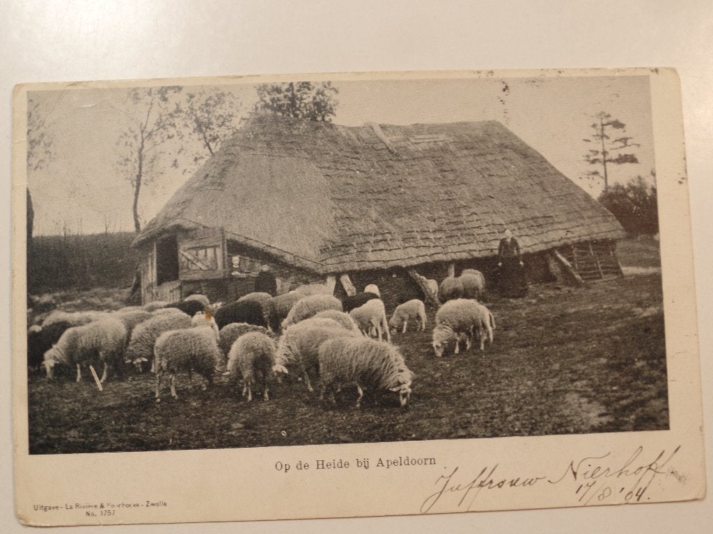 Partij 3 schapen, Verzamelen, Ansichtkaarten | Nederland, Verzenden, Gelopen, Noord-Brabant