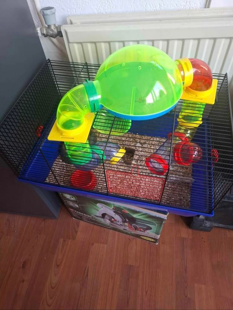 Mooie nette hamster kooi, Minder dan 60 cm, Kooi, Minder dan 75 cm, Ophalen of Verzenden