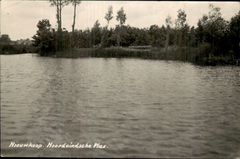 Nieuwkoop - Noordeindsche Plas - Ansicht, Ophalen of Verzenden, 1920 tot 1940, Gelopen, Zuid-Holland