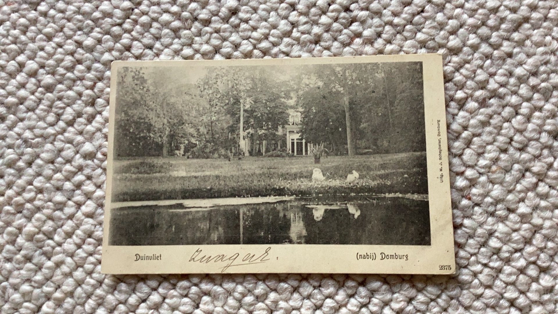 Ansichtkaart Duinvliet nabij Domburg 1904. 987, Ophalen of Verzenden, Voor 1920, Gelopen, Zeeland