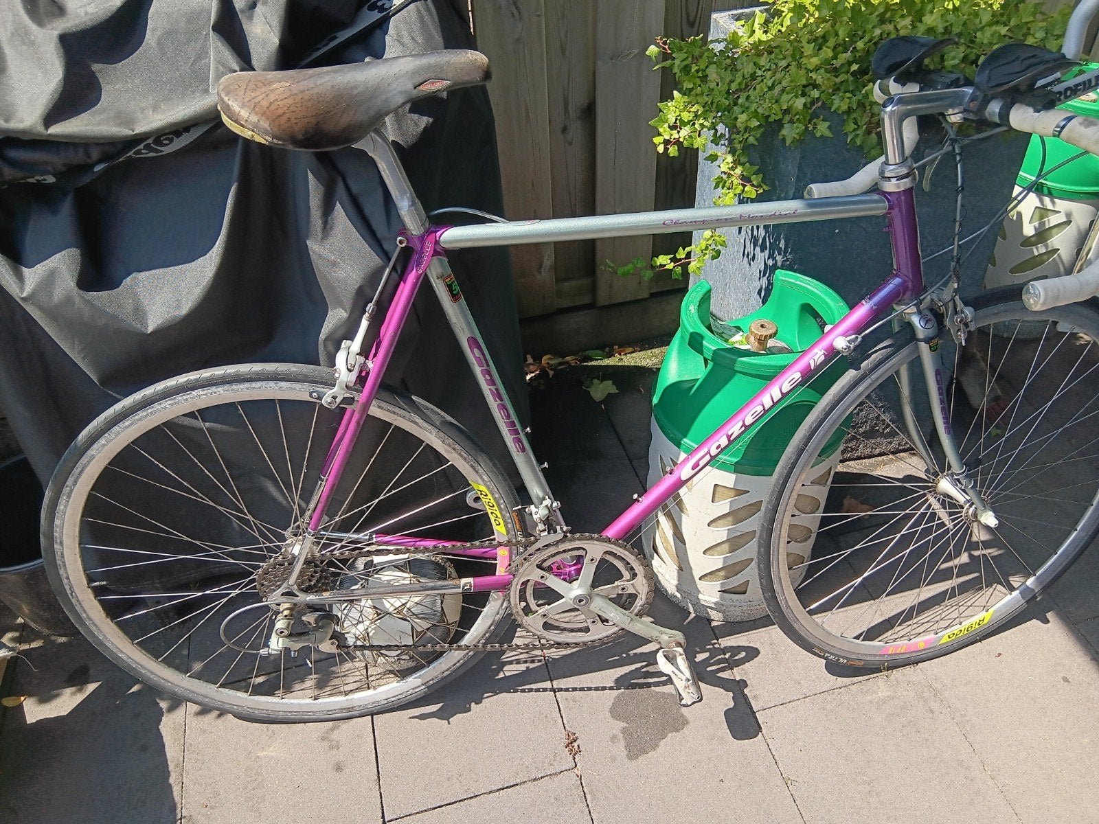 Gazelle AA special 58 cm, 55 tot 59 cm, Ophalen of Verzenden