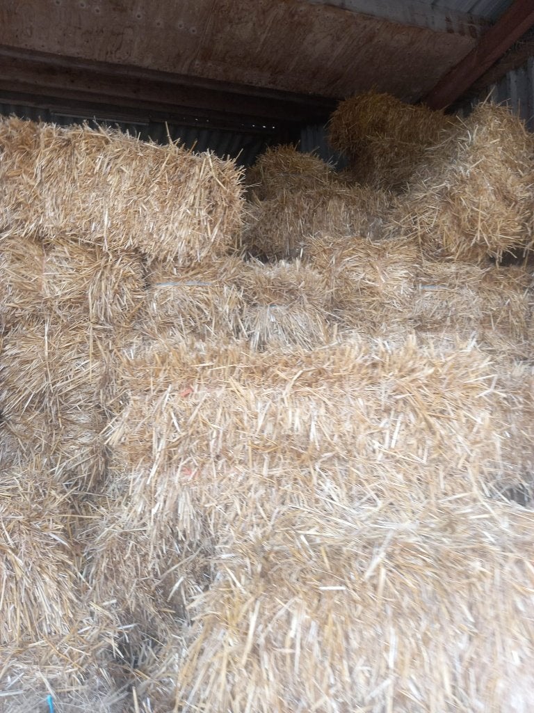 Kleine pakjes stro, Dieren en Toebehoren, Ophalen, Vee