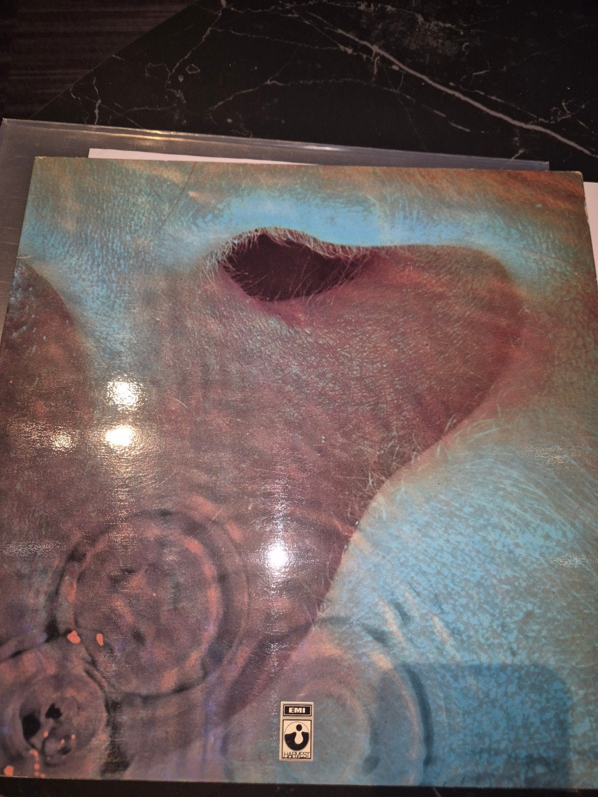 Pink Floyd, Ophalen of Verzenden, Gebruikt, 12 inch, Poprock