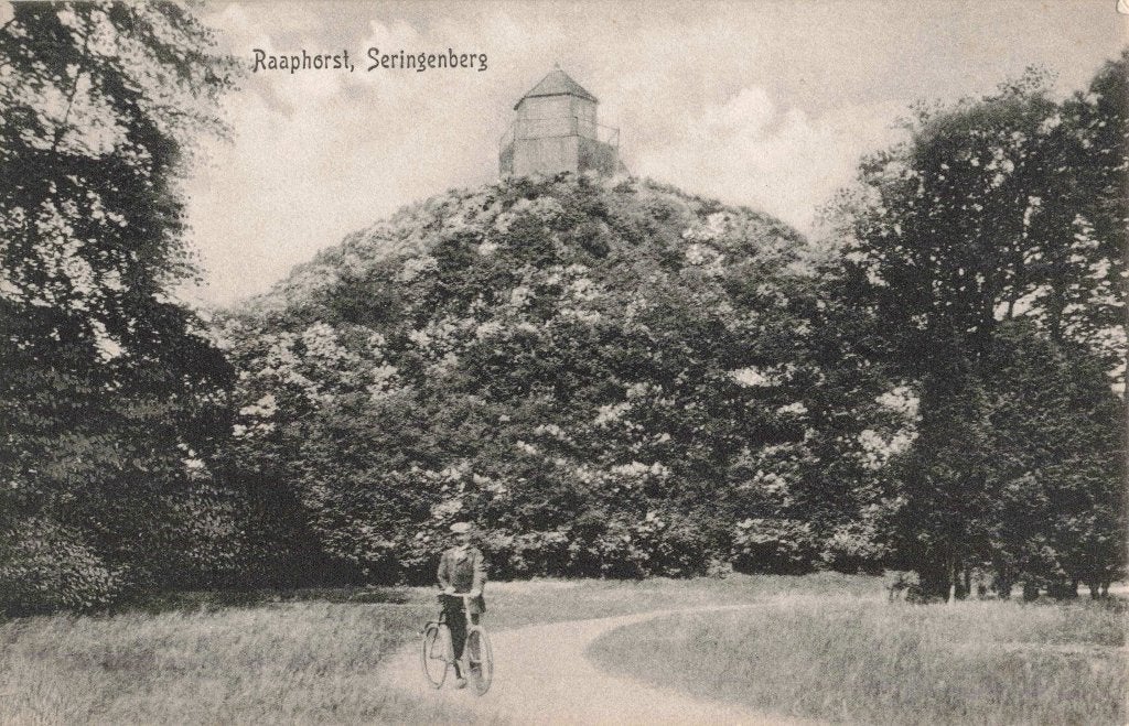 Wassenaar Raaphorst Seringenberg M8203, Ophalen, Voor 1920, Ongelopen, Zuid-Holland