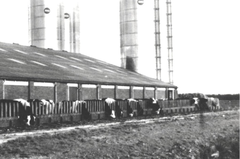 804507	Spijk	Gr 1968 Eemshoeve	Nette oud kaart Onbeschreven, Ophalen of Verzenden, 1960 tot 1980, Ongelopen, Groningen