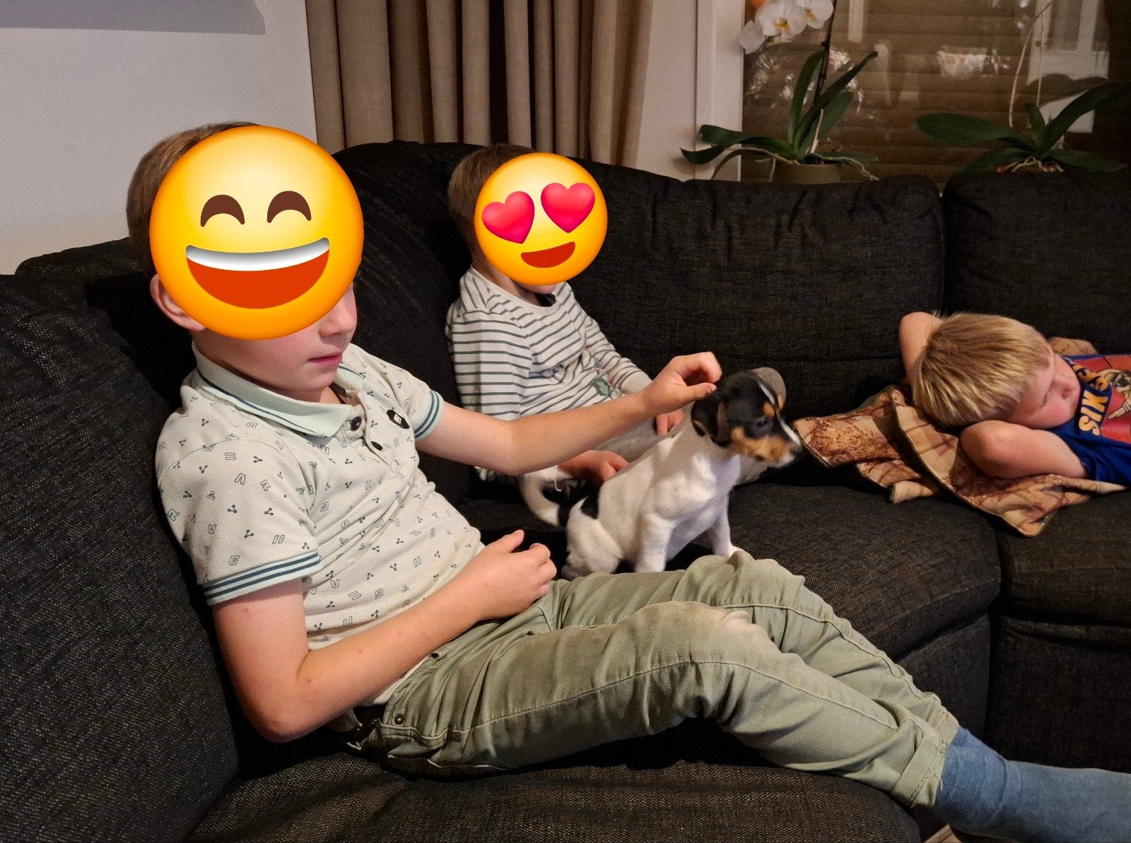 Super lieve en mooie boerenfox pup, Dieren en Toebehoren, Overige rassen, 8 tot 15 weken, CDV (hondenziekte), Meerdere