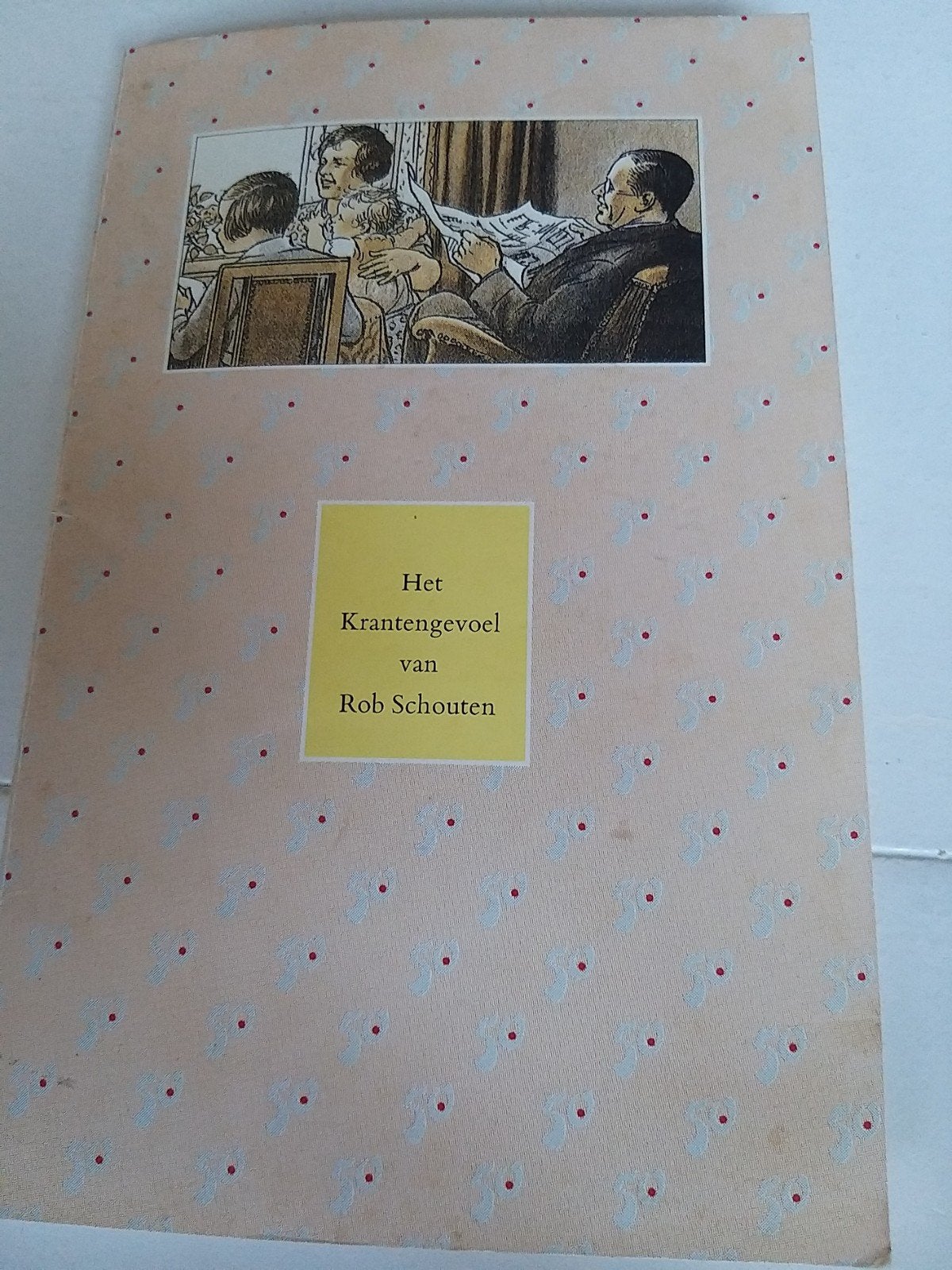 Het krantengevoel van rob schouten trouw deze uitgave is een, Boeken, Ophalen of Verzenden, Gelezen