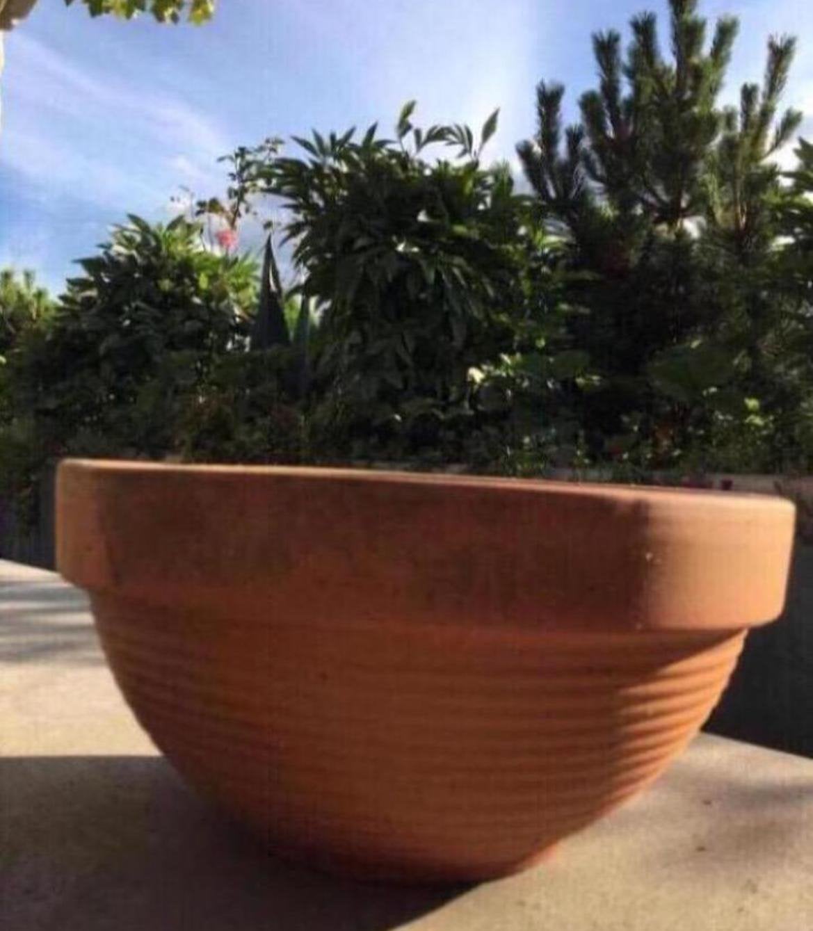 Mooie set van 4 Italiaanse terracotta lage schalen potten, Ophalen, Rond, Zo goed als nieuw, Binnen