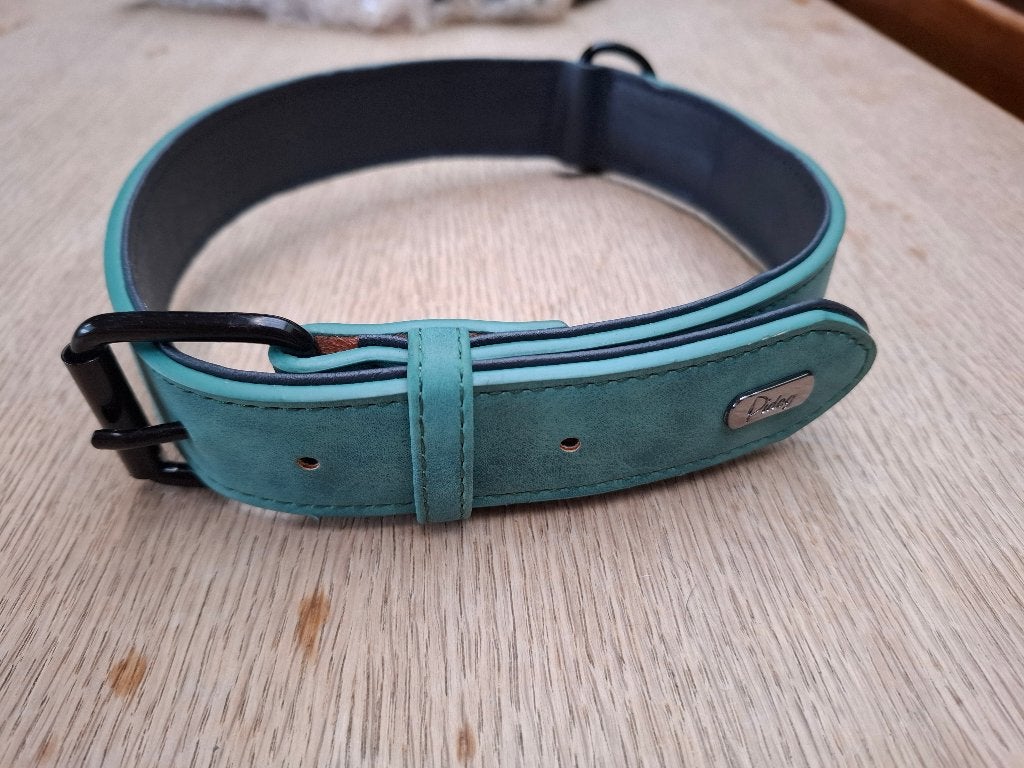 Nieuwe Pidog honden halsband, Ophalen of Verzenden, Nieuw