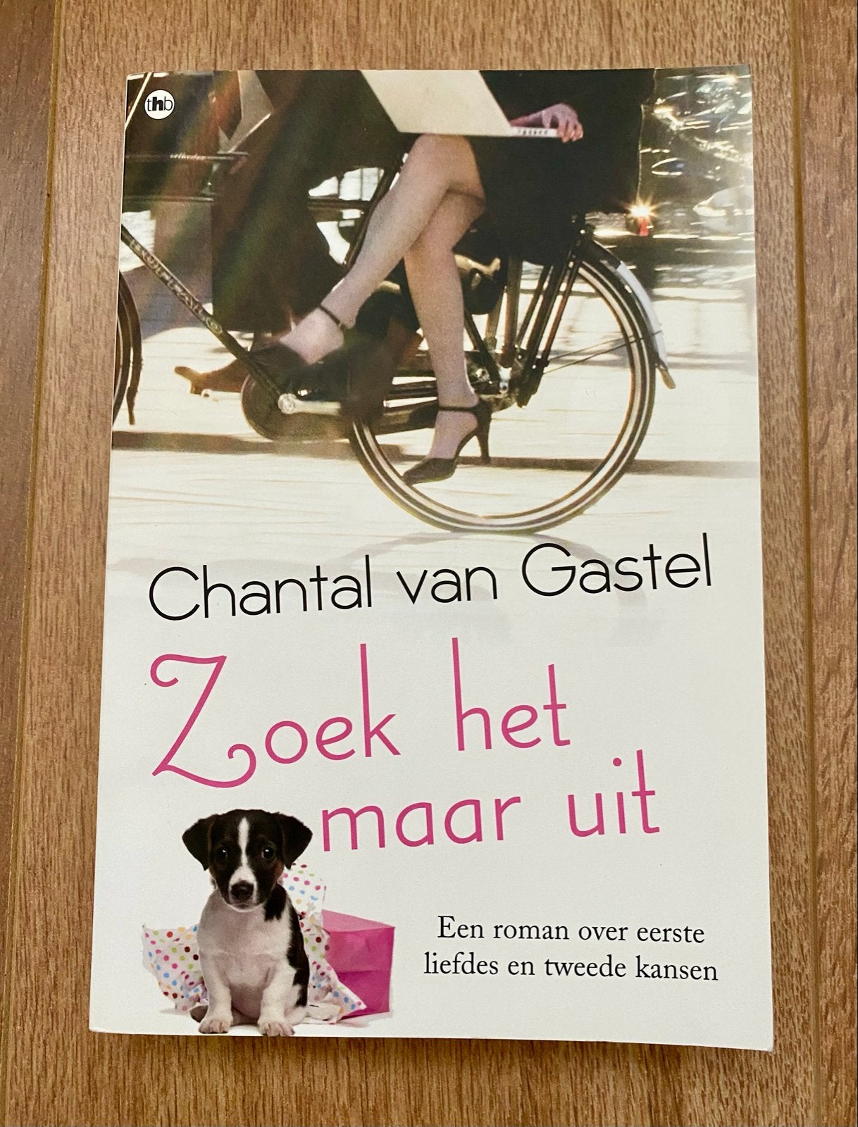 Zoek het maar uit - Chantal van Gastel, Ophalen of Verzenden, Zo goed als nieuw