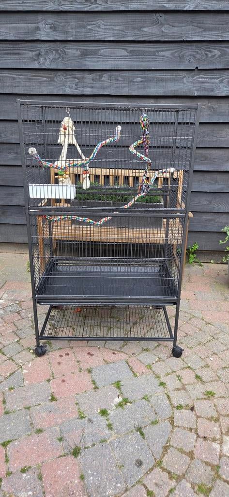 Vogelkooi, gebruikt. Bieden, Ophalen