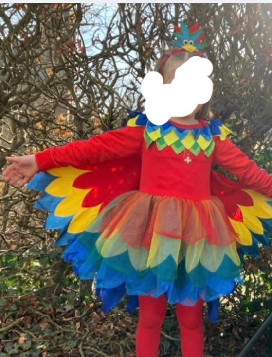 Papegaai kostuum met vleugels, haarband maat 122/128, Kinderen en Baby's, Carnavalskleding en Verkleedspullen, Zo goed als nieuw