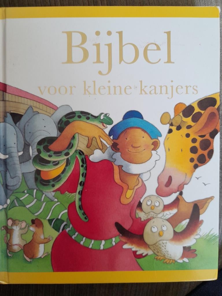 S. Toulmin - Bijbel voor kleine kanjers, Ophalen of Verzenden, Zo goed als nieuw, S. Toulmin