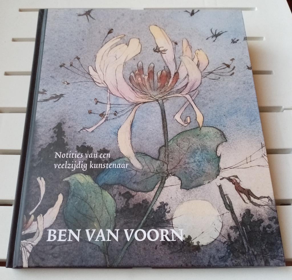 BEN VAN VOORN. Notities van een veelzijdig kunstenaar, Gelezen, Robin d'Arcy Shillcock, Ophalen of Verzenden, Schilder- en Tekenkunst