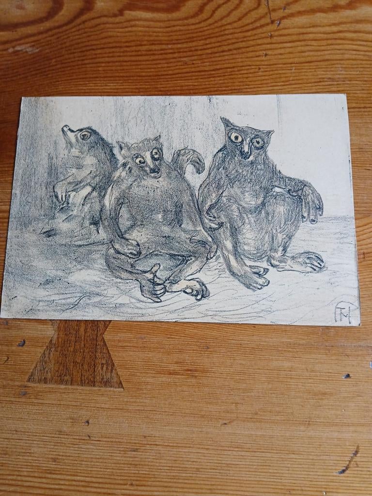 Theo Hoytema makiaapjes, Antiek en Kunst, Kunst | Litho's en Zeefdrukken, Ophalen of Verzenden