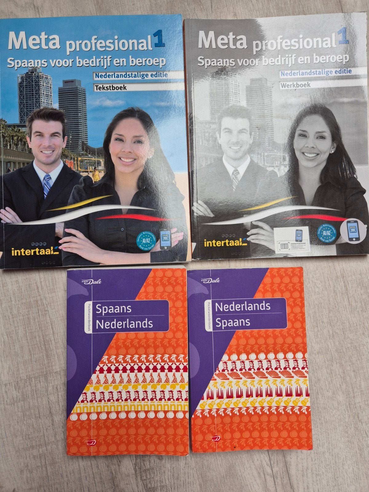 Meta Profesional 1 Spaans voor bedrijf en beroep, Boeken, Ophalen of Verzenden, Gelezen, Intertaal, Non-fictie