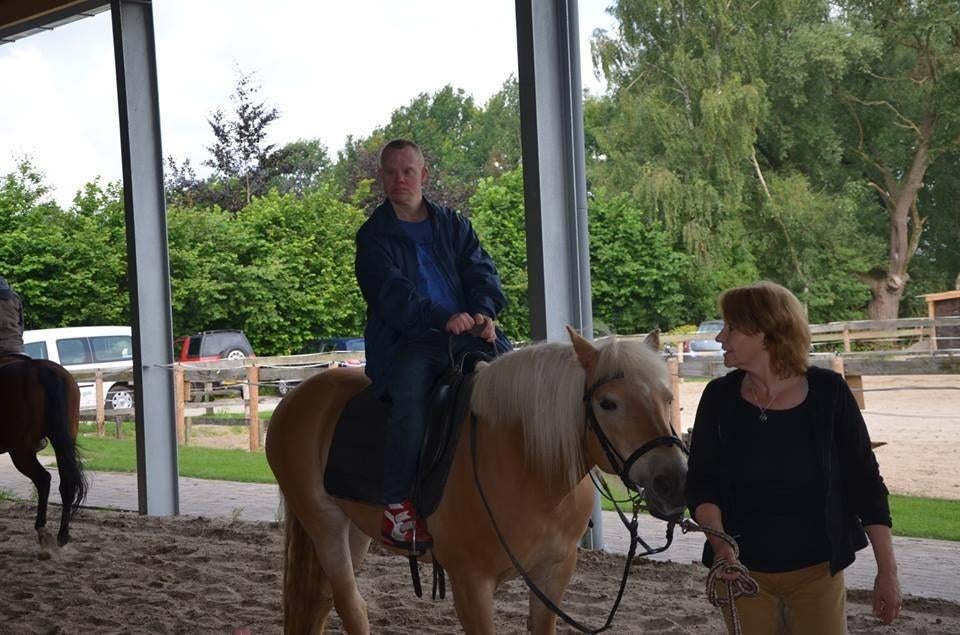 Gezocht rustig en betrouwbaar paard voor zorgboerderij, Ophalen, Gebruikt, Recreatie
