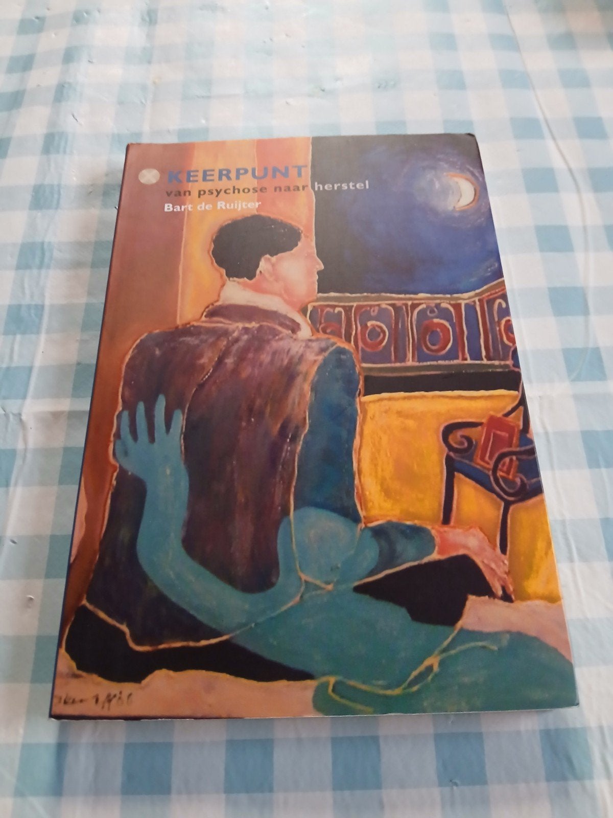 Keerpunt: Van Psychose Naar Herstel - Bart de Ruijter, Boeken, Romans, Zo goed als nieuw, Nederland, Ophalen of Verzenden