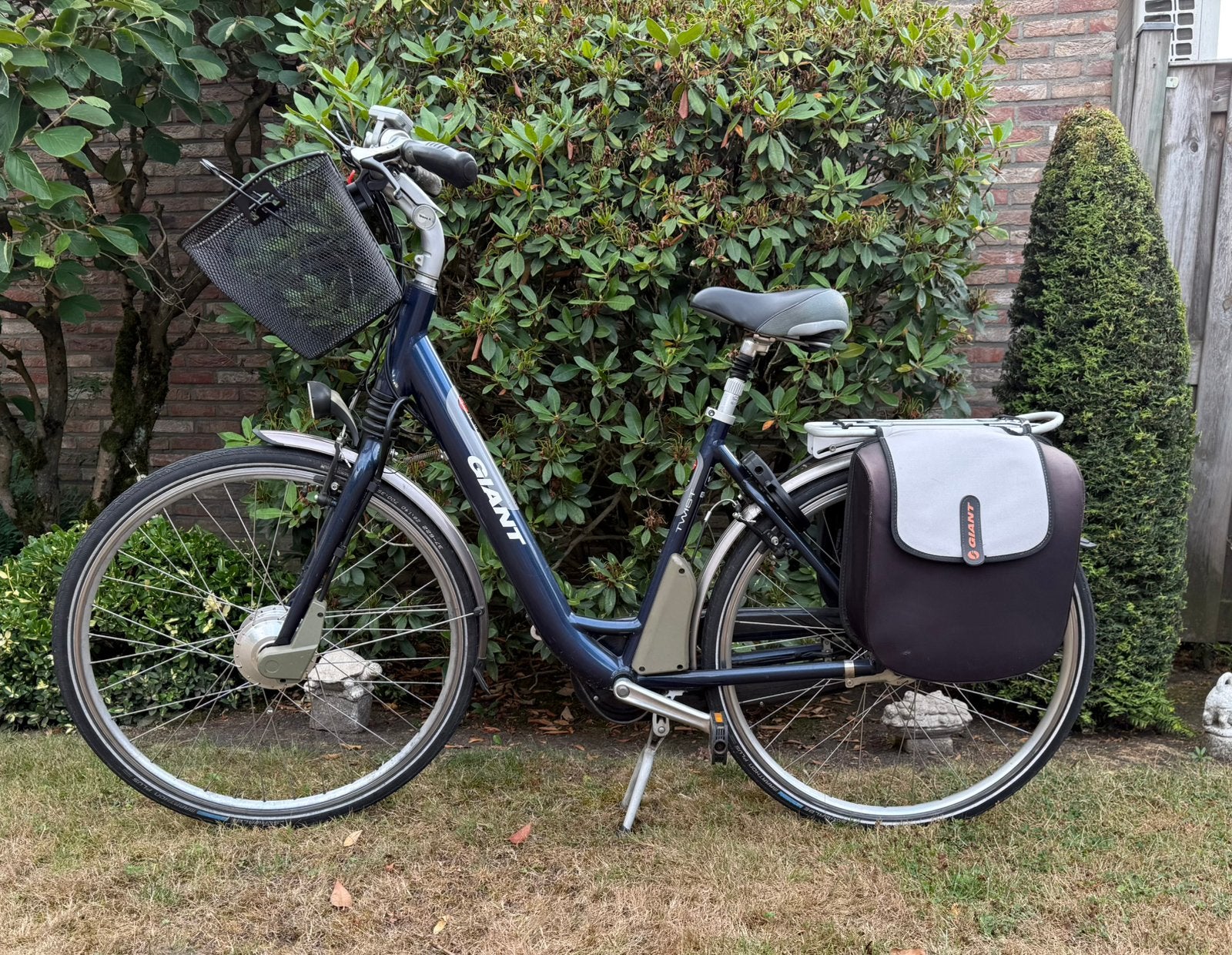 Elektrische fiets Giant twist double, Minder dan 47 cm, Ophalen, Zo goed als nieuw