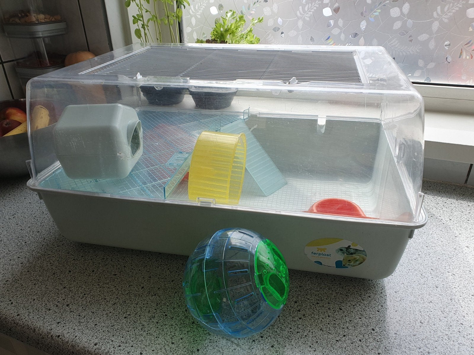 Hamsterkooi met accessoires, Ophalen