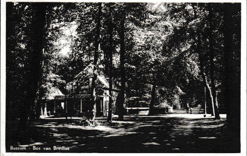 BUSSUM - BOS van BREDIUS - 1954, Ophalen of Verzenden, 1940 tot 1960, Gelopen, Natuur